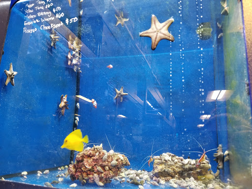 Tropical Fish Store «Aquatic Wildlife Co», reviews and photos, 70 Buckland Rd, South Windsor, CT 06074, USA