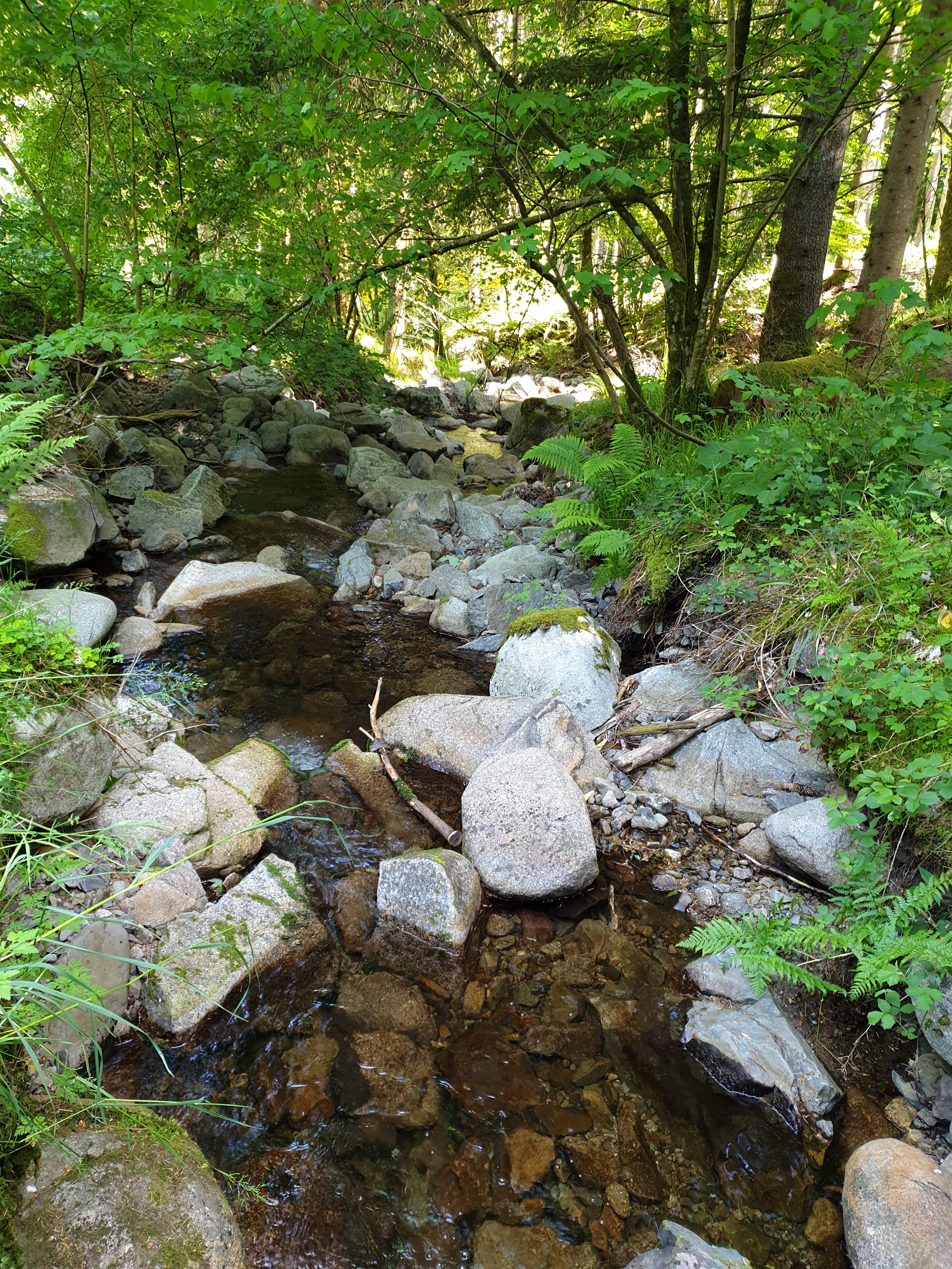Photo n° 2 de l'avis de Matthias.r fait le 20/06/2019 à 23:17