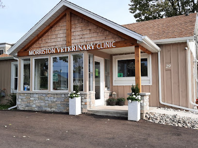 Morriston Veterinary Clinic