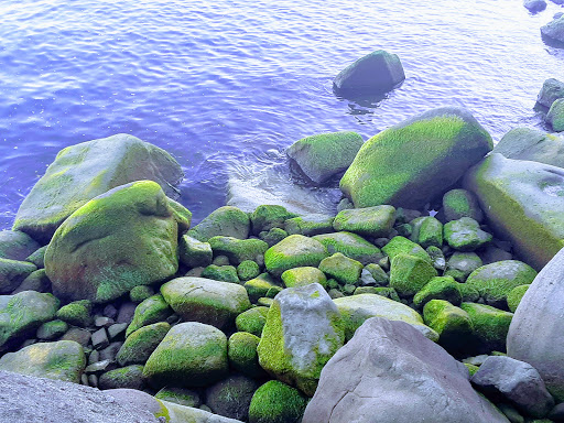 Historical Place «Lewis and Clark National Historical Park», reviews and photos, 92343 Fort Clatsop Rd, Astoria, OR 97103, USA