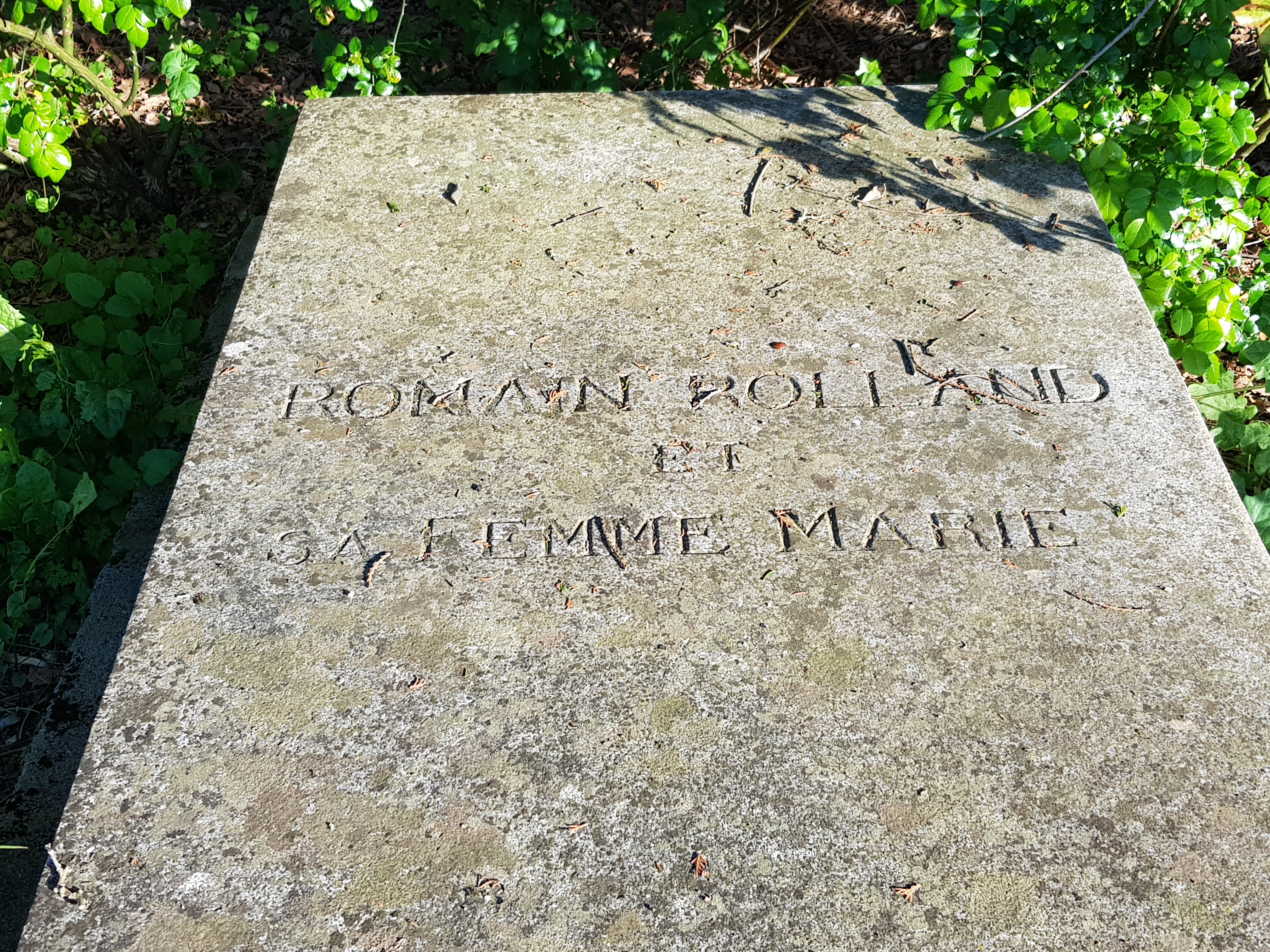 Photo n° 2 de l'avis de Bernard.a fait le 05/06/2021 à 22:14