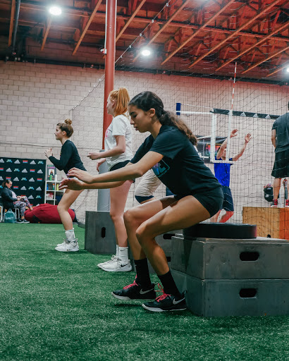 VIBE Volleyball Lab image