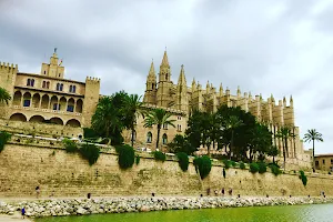 Palma Walking image