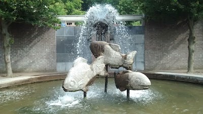 Photos of VVV Limburg Winkel Gulpen