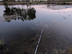 Nicholson Park - photo 15