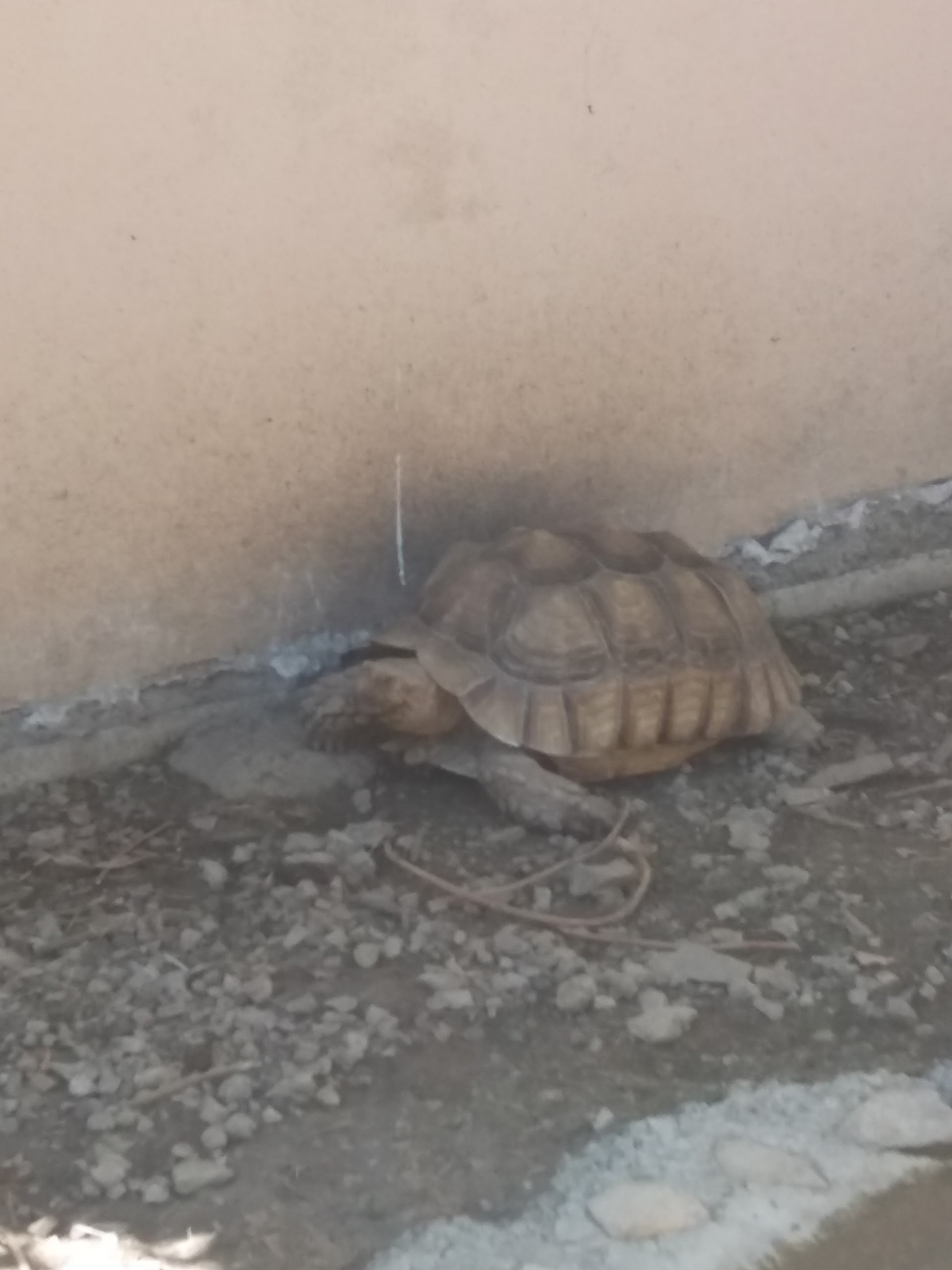 Photo n° 26 de l'avis de Damien.i fait le 21/08/2017 à 19:35