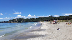 Fotografie cu Shakespeare Beach zonă sălbatică