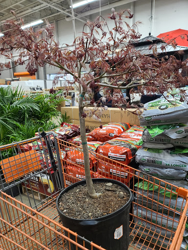 Home Improvement Store «The Home Depot», reviews and photos, 1722 NJ-88, Brick, NJ 08724, USA