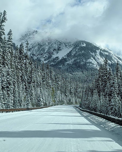 Gift Shop «The Pacific Northwest Shop», reviews and photos, 2702 N Proctor St, Tacoma, WA 98407, USA