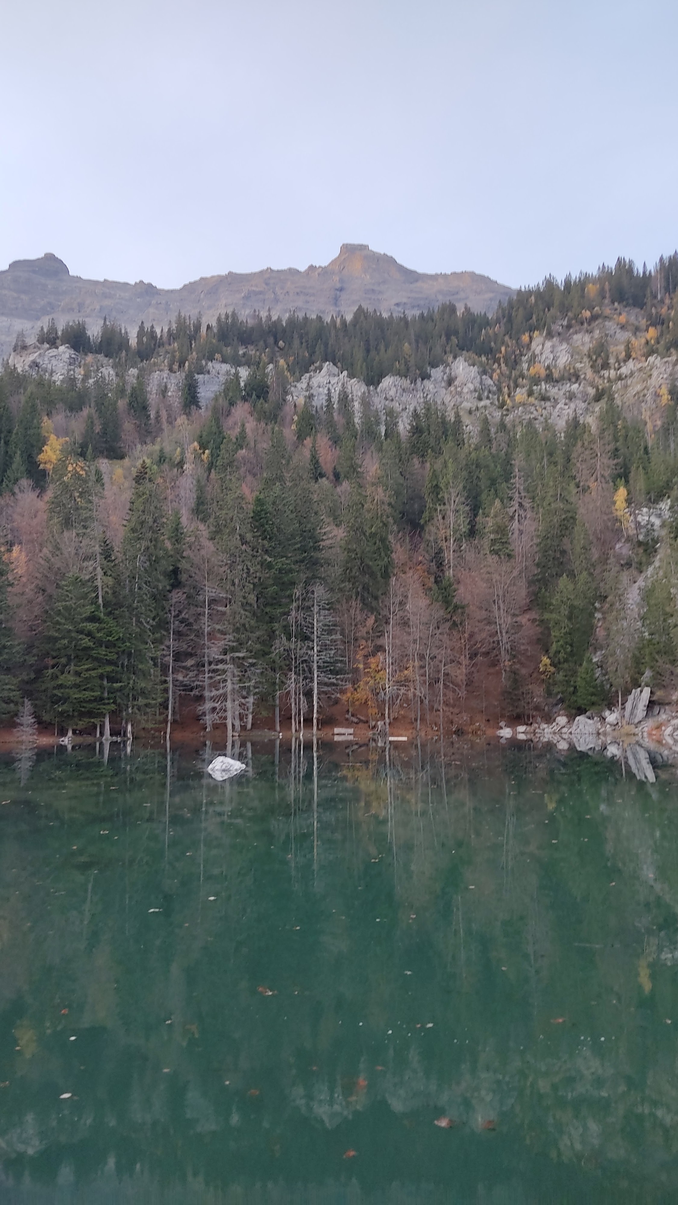 Photo n° 2 de l'avis de Eric.e fait le 01/11/2022 à 18:35