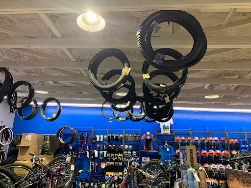 Bicycle Store «Golden Spoke Cyclery», reviews and photos, 6710 W Thunderbird Rd, Peoria, AZ 85381, USA