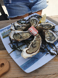 Photo n°59 de La Nurserie Du Golfe à Sarzeau ()