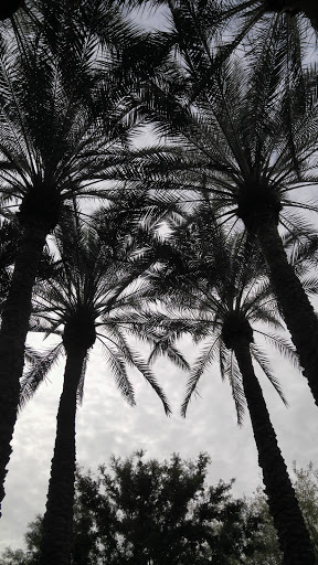 Day Spa «Spa Avania», reviews and photos, 7500 E Doubletree Ranch Rd, Scottsdale, AZ 85258, USA