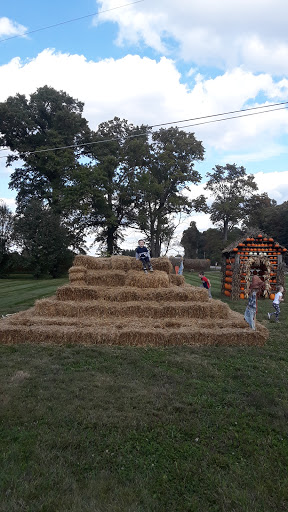 Produce Market «Bray Orchards», reviews and photos, 2580 US-42, Bedford, KY 40006, USA