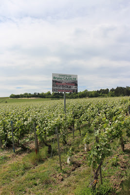 Champagne Cajdler Bruno à Vandeuil