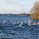 Photo n°4 de l'avis de Maja.o fait le 06/11/2022 à 09:25 sur le  Hotel Seerose Malente à Malente