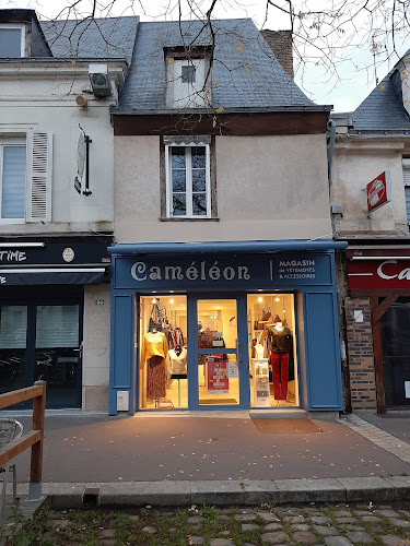 Caméléon à Beaufort-en-Anjou