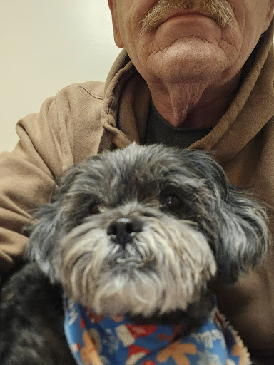 Duckworth Animal Hospital image