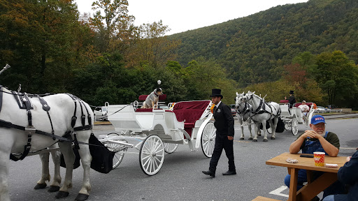 Winery «Big Creek Vineyard», reviews and photos, 41 Susquehanna St, Jim Thorpe, PA 18229, USA