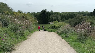Photo n°47 de Golf Bluegreen Saint-Quentin-en-Yvelines, Yvelines (78) à Trappes ()