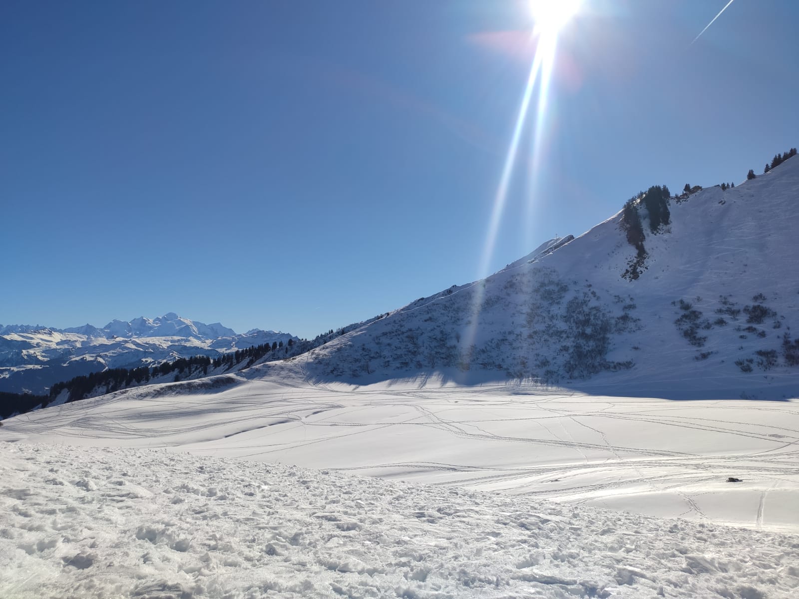Photo n° 1 de l'avis de Céline.e fait le 17/02/2023 à 22:32