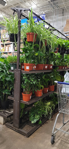 Lowes Home Improvement image