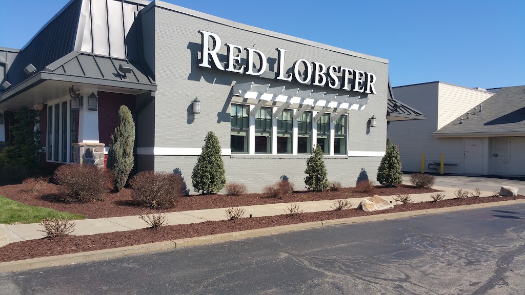 Red Lobster 15146