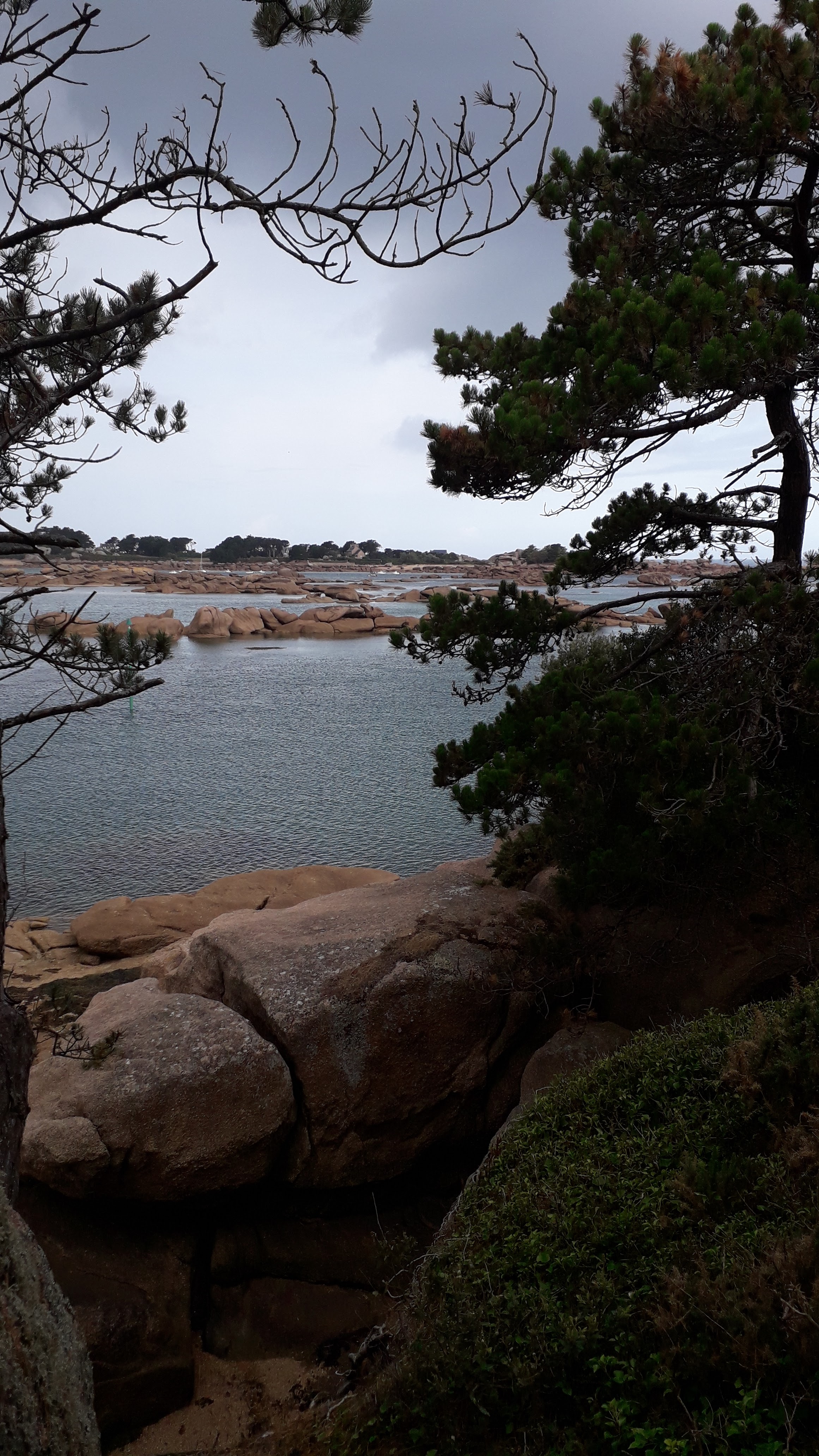 Photo n° 2 de l'avis de pascale.o fait le 02/09/2019 à 07:32