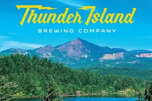 Thunder Island Brewing Co image