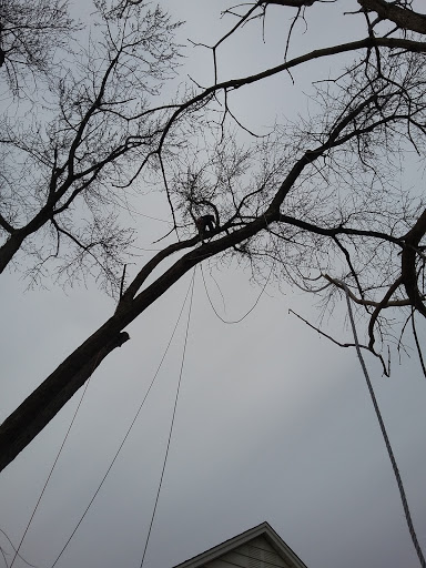 Plumber «Friendly Plumbing», reviews and photos, 1539 Seminole Rd, Algonquin, IL 60102, USA