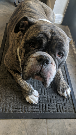 Beer Store «The HomeBrew Store», reviews and photos, 1422 S Narcoossee Rd, St Cloud, FL 34769, USA