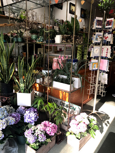 Florist «Station Flowers», reviews and photos, 18 Garth Rd, Scarsdale, NY 10583, USA