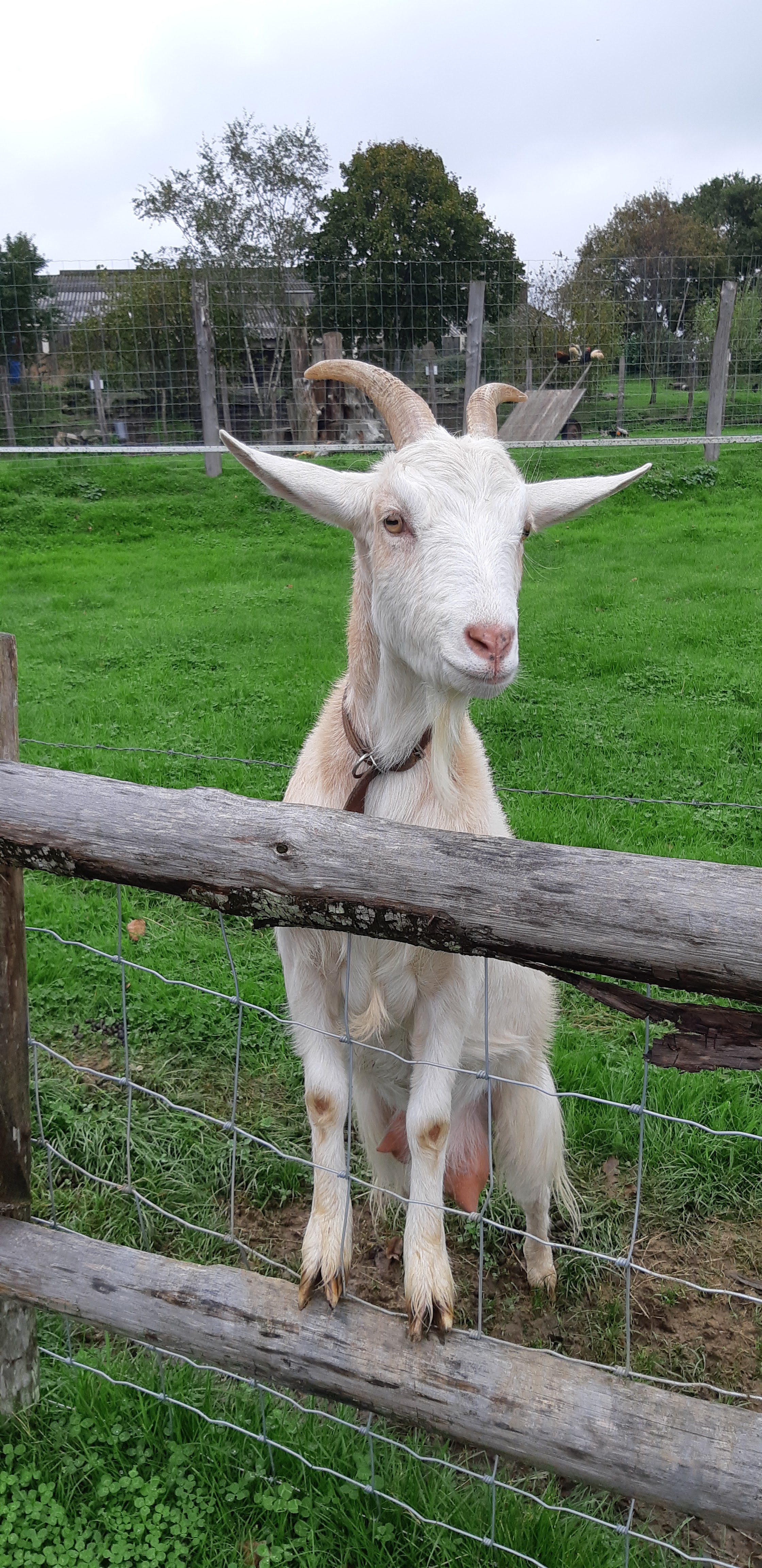 Photo n° 35 de l'avis de Yannick.a fait le 27/10/2019 à 14:17