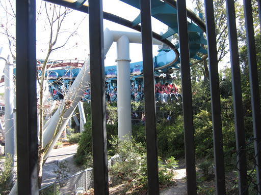 Roller Coaster «Dragon Challenge», reviews and photos, 6000 Universal Blvd, Orlando, FL 32819, USA