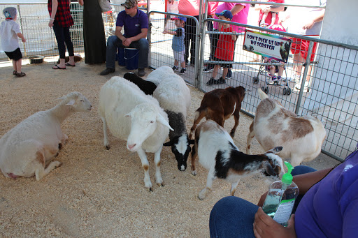 Historical Landmark «Grapevine Vintage Railroad», reviews and photos, 707 S Main St, Grapevine, TX 76051, USA