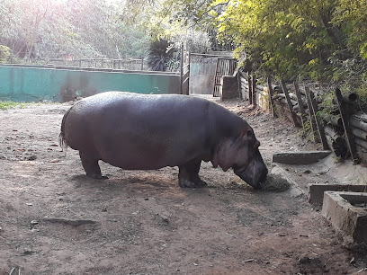 Asunción Zoo