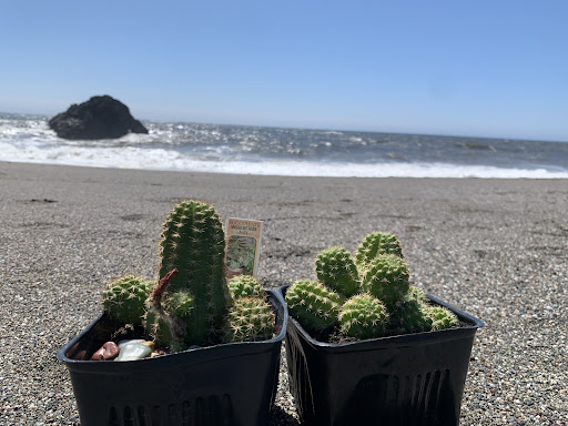 Home Improvement Store «True Value Hardware Of Guerneville», reviews and photos, 15600 River Rd, Guerneville, CA 95446, USA