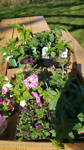 Garden Center «Kent East Hill Nursery», reviews and photos, 11644 SE 240th St, Kent, WA 98031, USA