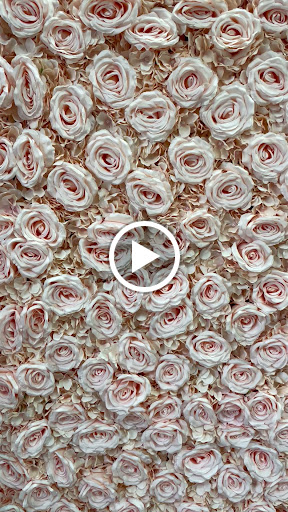 Bridal Shop «RashawnRose Bridal and Prom», reviews and photos, 12920 W State Rd 84, Fort Lauderdale, FL 33325, USA