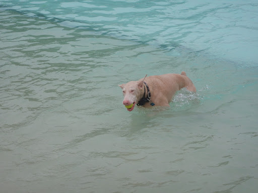 Water Park «NRH2O Family Water Park», reviews and photos, 9001 Boulevard 26, North Richland Hills, TX 76180, USA