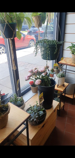 Florist «Westcott Florist», reviews and photos, 548 Westcott St, Syracuse, NY 13210, USA