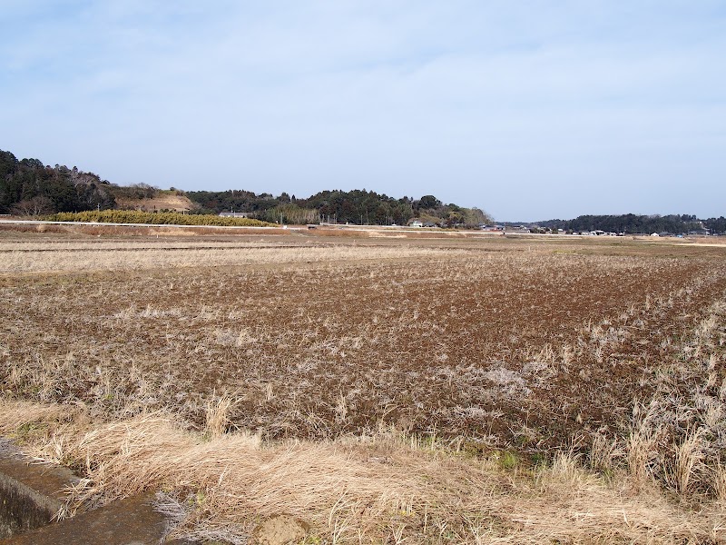 丸木舟出土遺跡