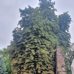 Photo n°4 de l'avis de Vadaszi.o fait le 07/07/2022 à 18:13 sur le  Veltheimsburg Castle Schloss à Hohe Börde