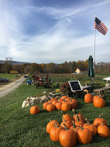 Winery «Christopher Jacobs Winery at Pennings Vineyards (Seasonally Open May-Oct)», reviews and photos, 320 Crawford St, Pine Bush, NY 12566, USA