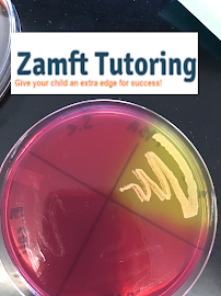 Zamft Tutoring, LLC - Photo 8 - Car repair in , Danbury