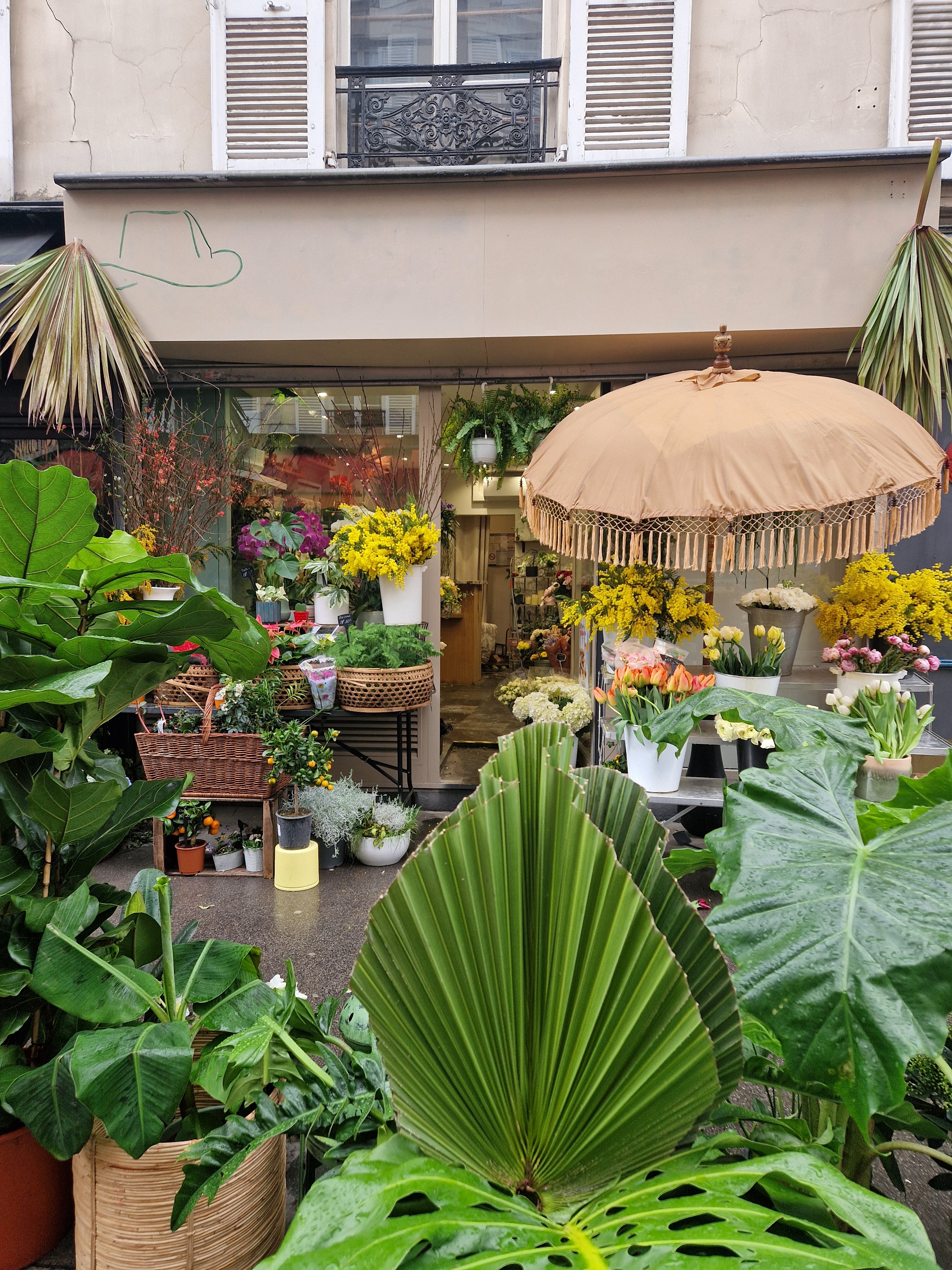 Photo n° 2 de l'avis de Albane.r fait le 11/02/2024 à 17:31