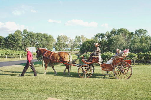 Winery «Winehaven Winery», reviews and photos, 10020 Deer Garden Ln, Chisago City, MN 55013, USA