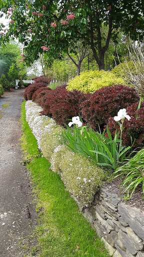 Garden Center «Riverside Nursery Garden Center & Florist», reviews and photos, 56 River Rd, Collinsville, CT 06019, USA