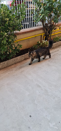 Photos des visiteurs Appartamento vacanze Casa Sangion 30021 Caorle