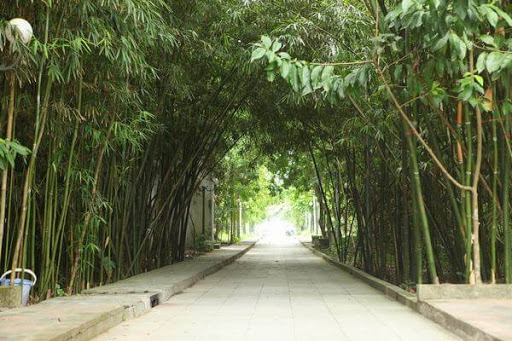 Top 20 cửa hàng son môi Huyện Kim Bảng Hà Nam 2022